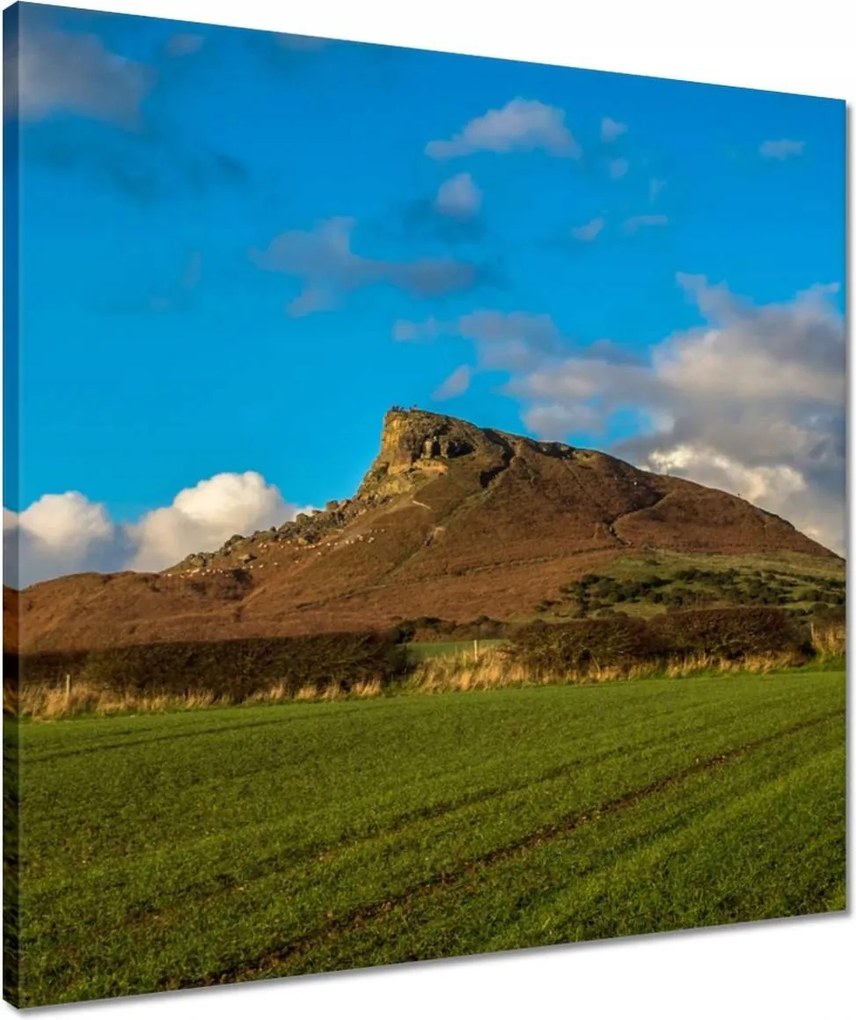 Vászonkép 50x50 Kilátás a rétről Hegy