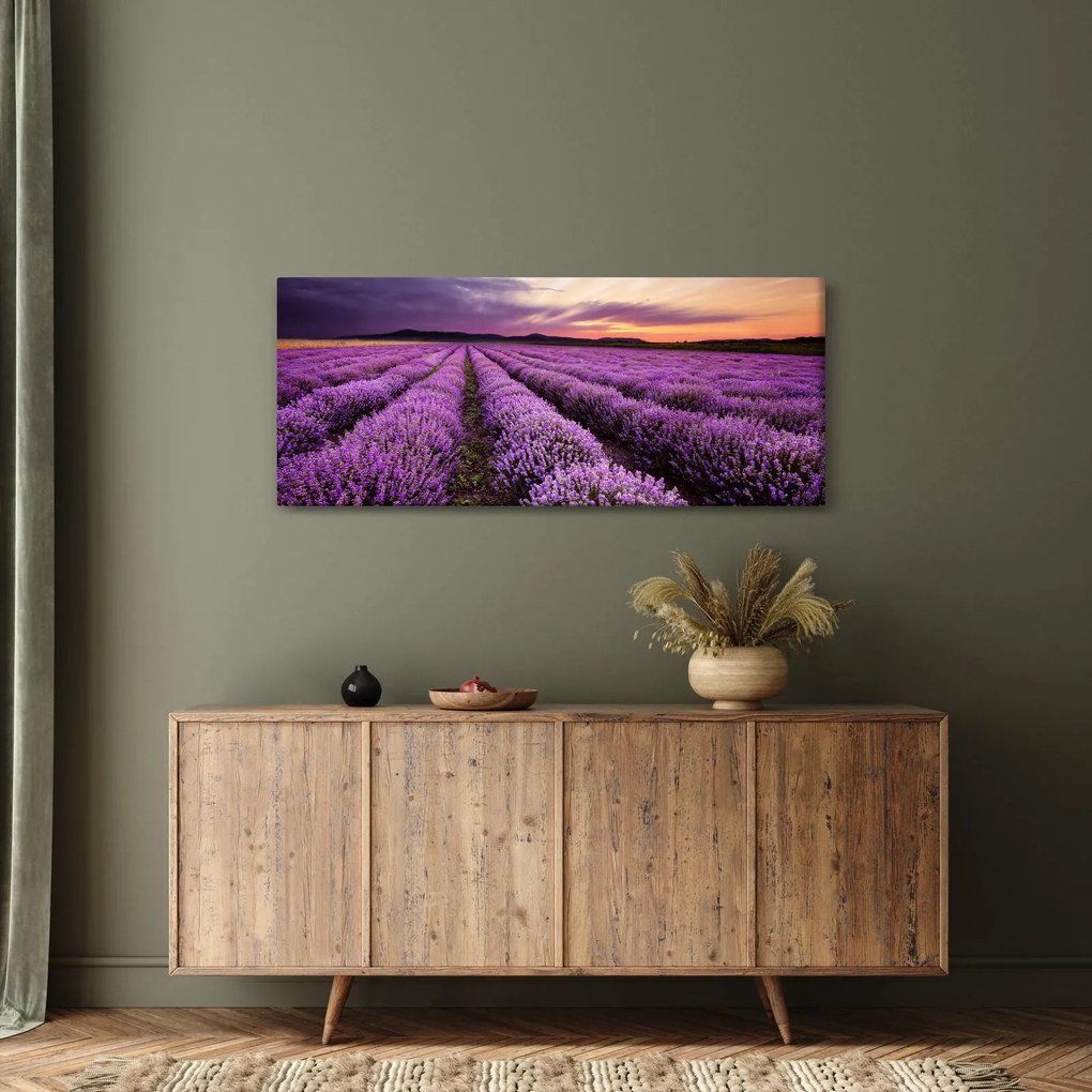 Kép - Levendulamező naplementében (120x50 cm)