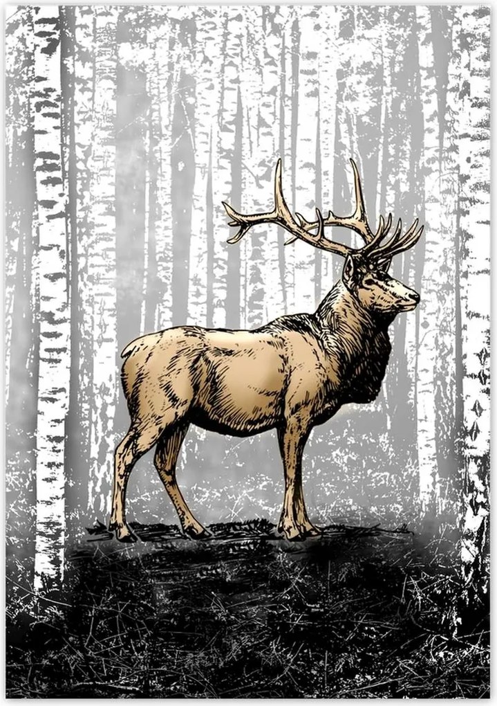 Poszterek 70x100 Szarvas Nyírfa Erdő