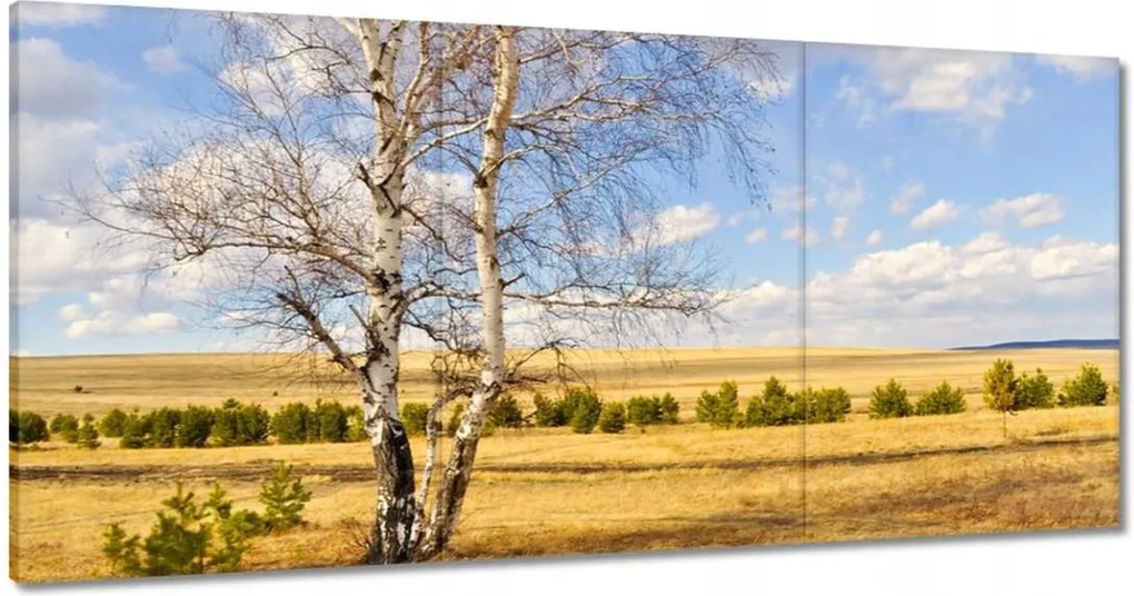 Festmények 180x90 Nyírfa a mezőn Tájkép