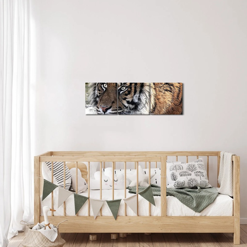 Tigris képe (órával) (90x30 cm)
