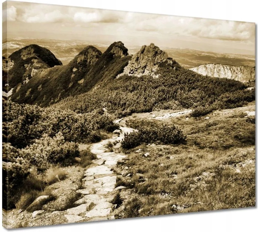 Vászonkép 50x40 Tátra Lengyel hegyek Kilátás