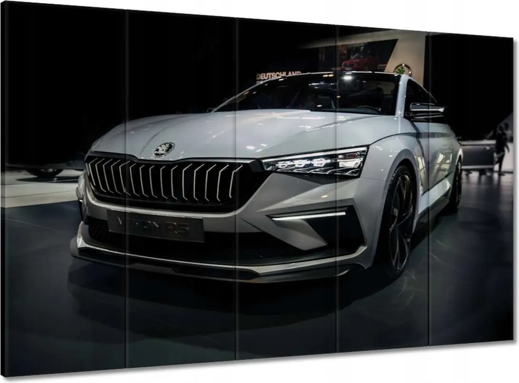 Képek 100x70 Skoda Autó