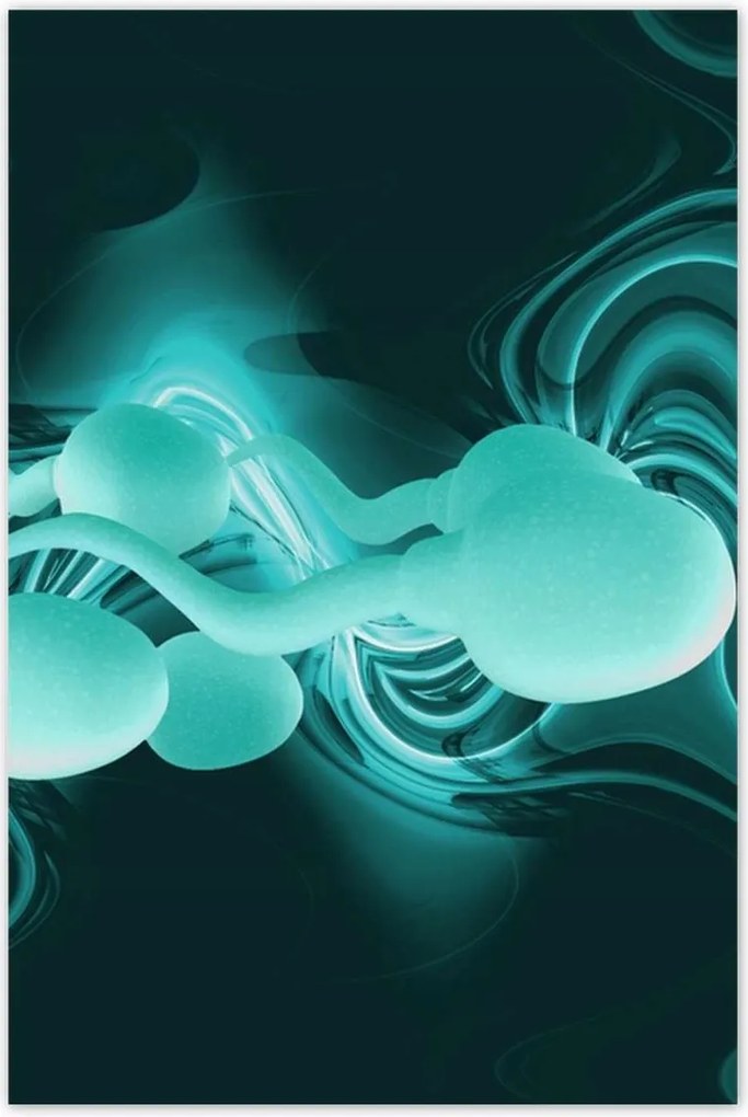 Poszterek 80x120 Én vagyok a győztes