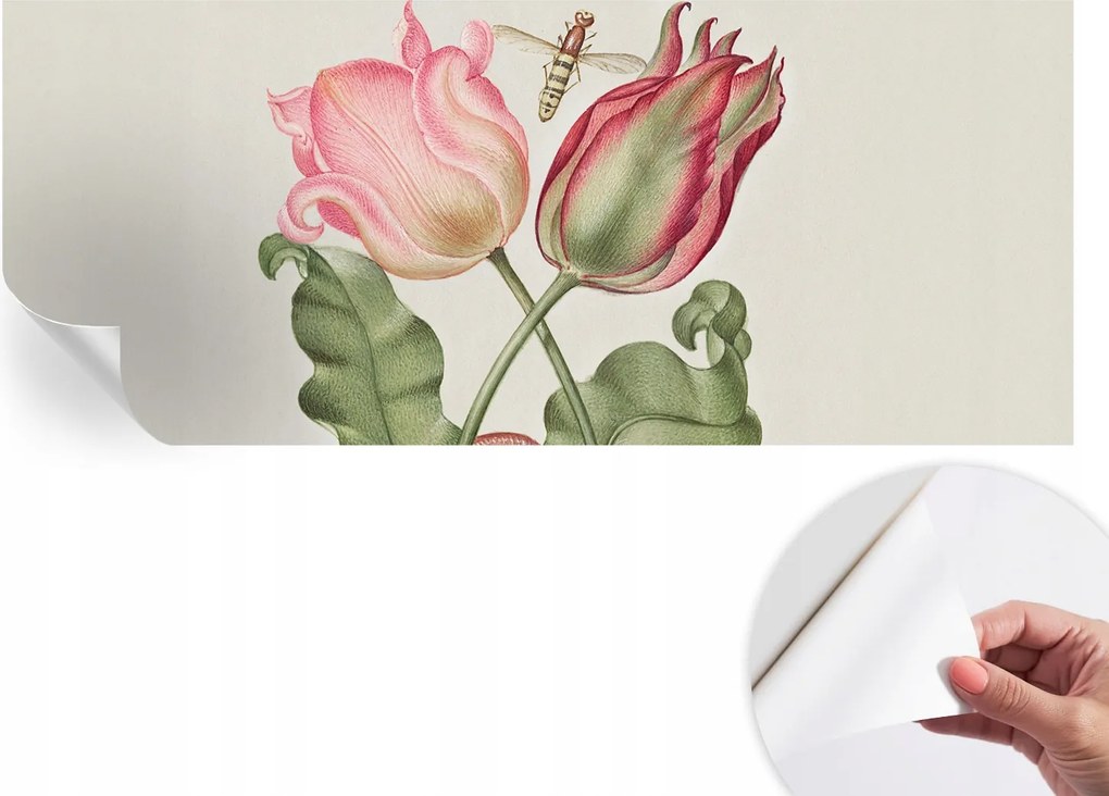 Öntapadós Stílusos Dekoratív Fotótapéta Tulipán szépség 250x104 cm