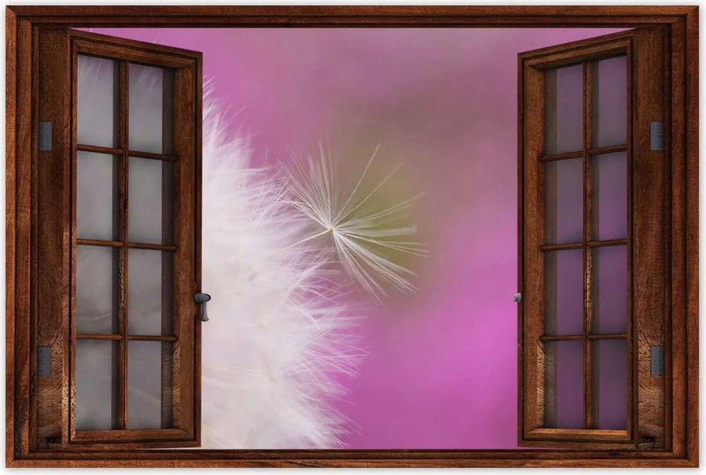 Poszterek 120x80 Pitypang Virág Virágok