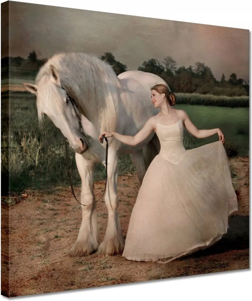 Vászonkép 30x30 Ló Lovak Lovaglás