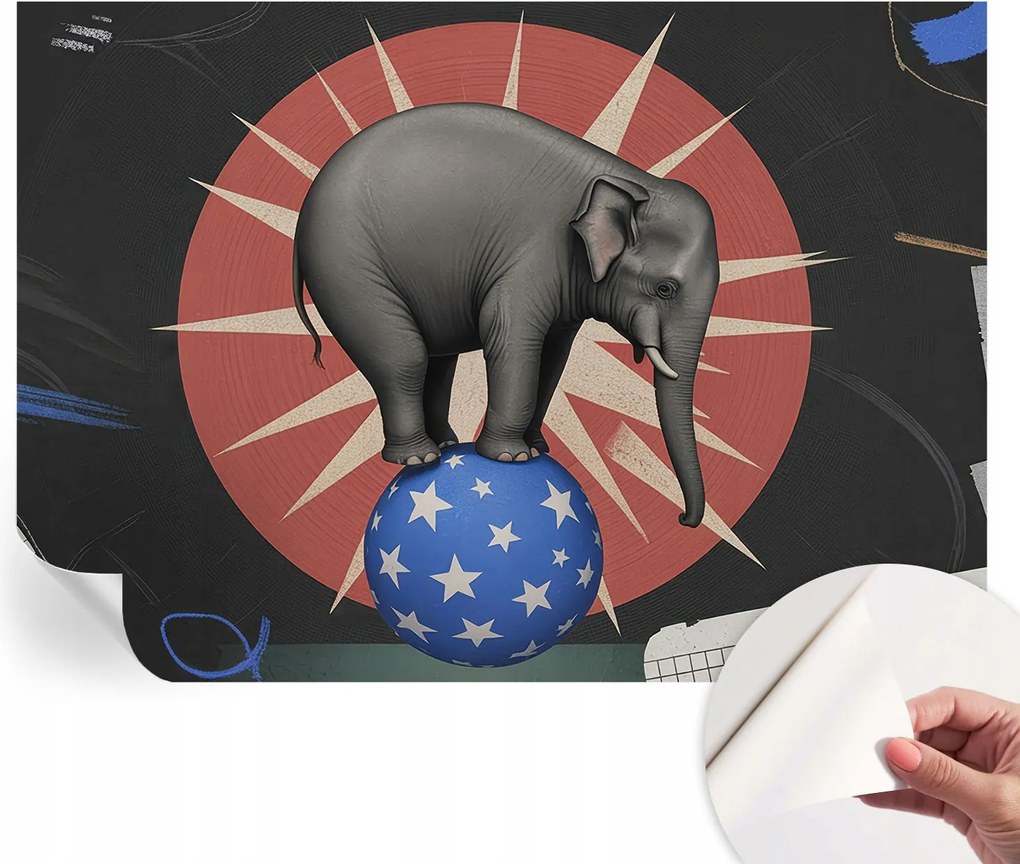 Fotótapéta Dekoratív Fali Tapéta Cirkusz Elefánt 312x219