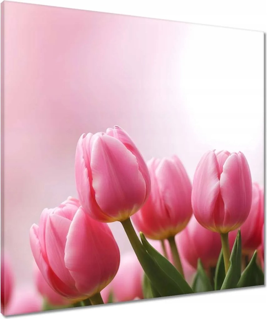 Vászonkép 70x70 Rózsaszín tulipánok