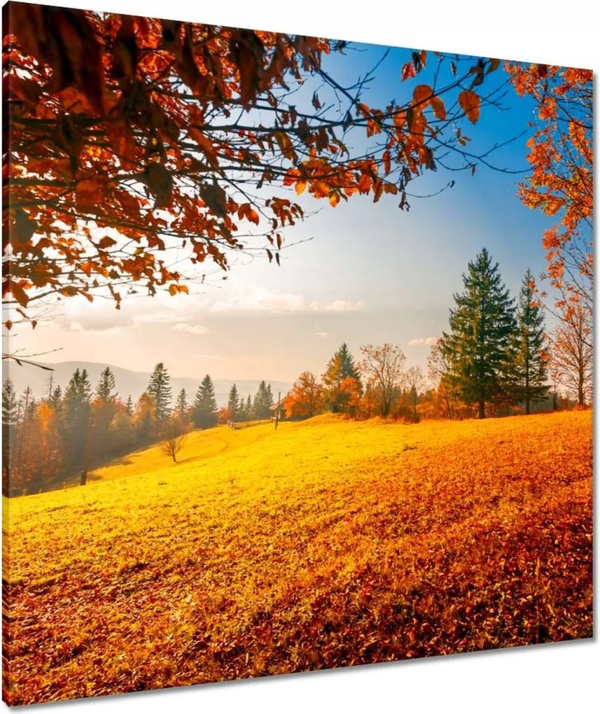 Vászonkép 80x80 Őszi táj