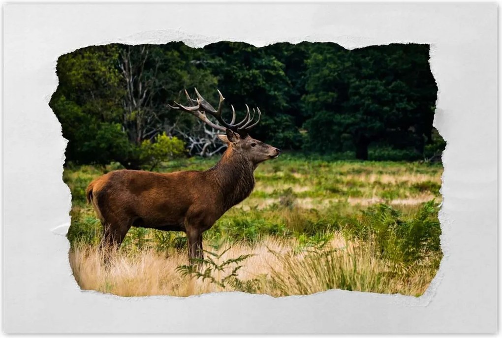 Poszterek 120x80 Óriás szarvas Tájkép