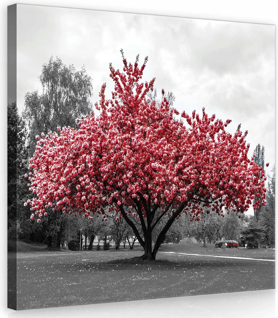Vászonkép 40x40 Piros fa virágzó fa tavasz természet park nyugalom
