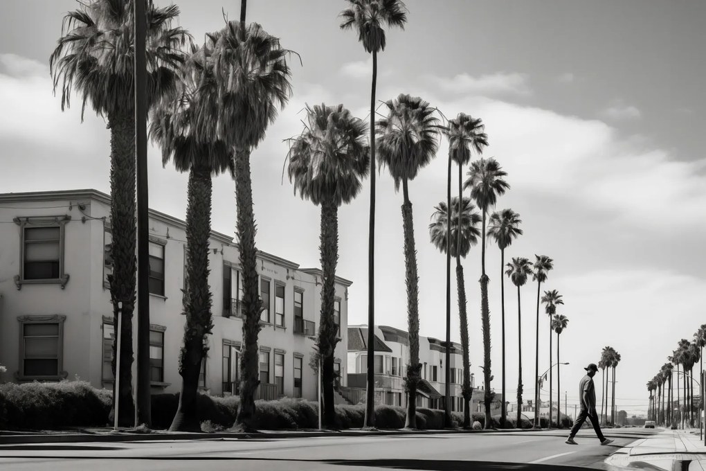 Poszter 91,5x61cm Séta a pálmafák árnyékában