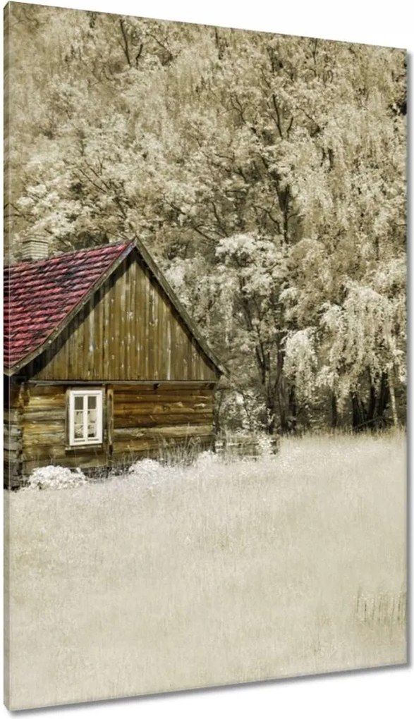 Vászonkép 80x120 Rönkház Bale