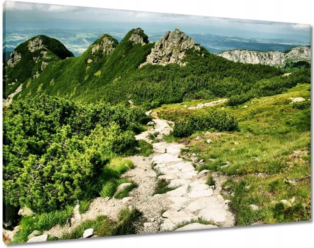 Képek 100x70 Tátra Lengyel hegyek Kilátás