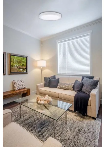 LED Mennyezeti lámpa FENIX LED/24W/230V 3800K átm. 29,8 cm hó fehér