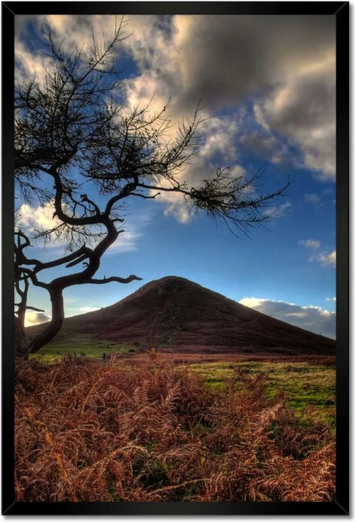 Poszterek keretben 40x60 Fa