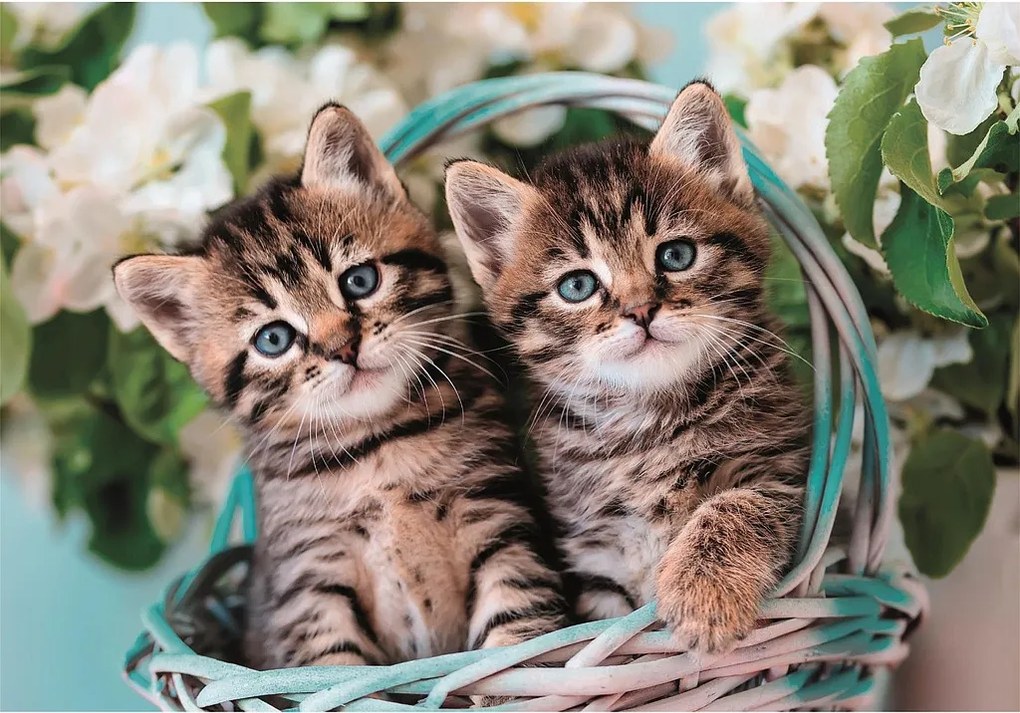 Cicás Lovely Twins 60 db-os puzzle Clementoni