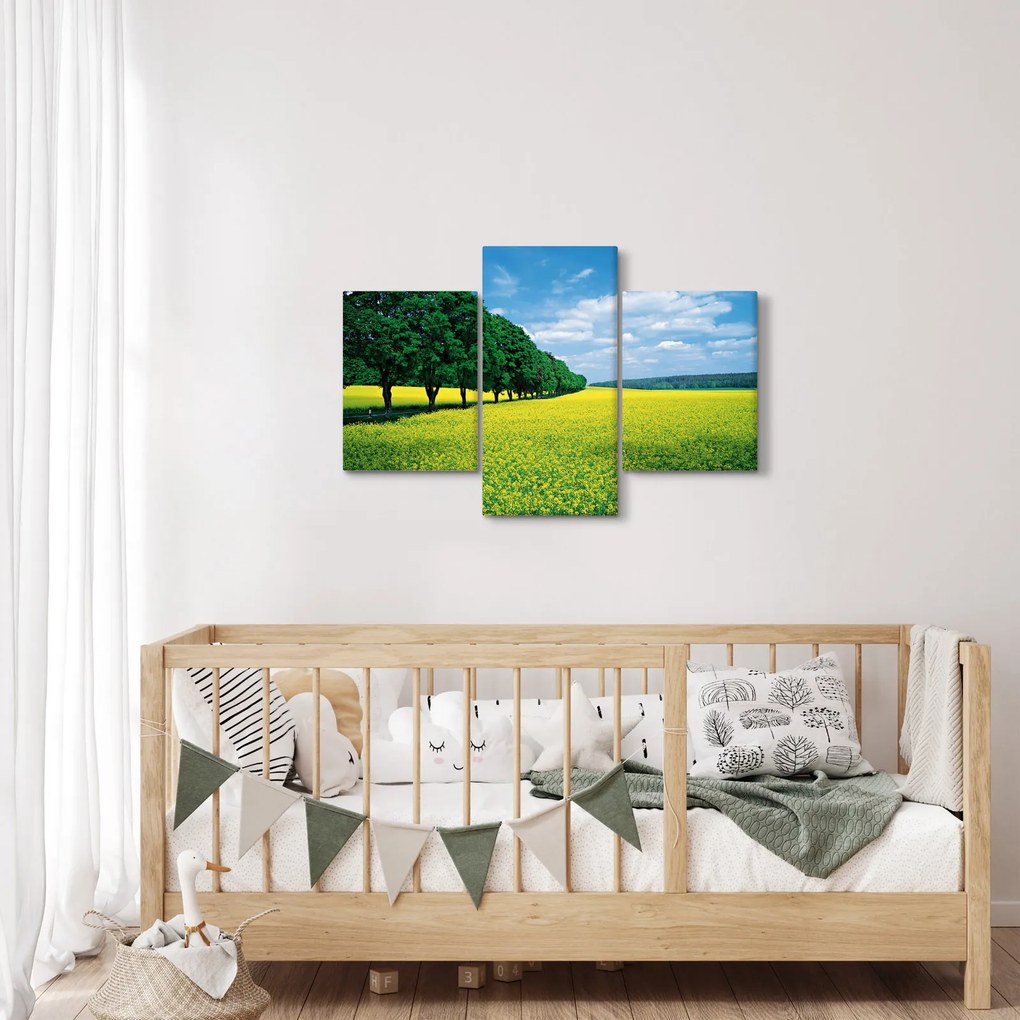 A mező képe egy sikátorral (90x60 cm)