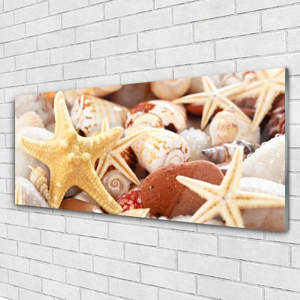 Modern üvegkép Starfish Shells Beach 125x50 cm