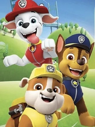 Baba törölköző PAW PATROL team 70X140cm Setino