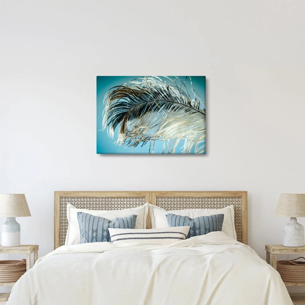 Tollas kép (70x50 cm)