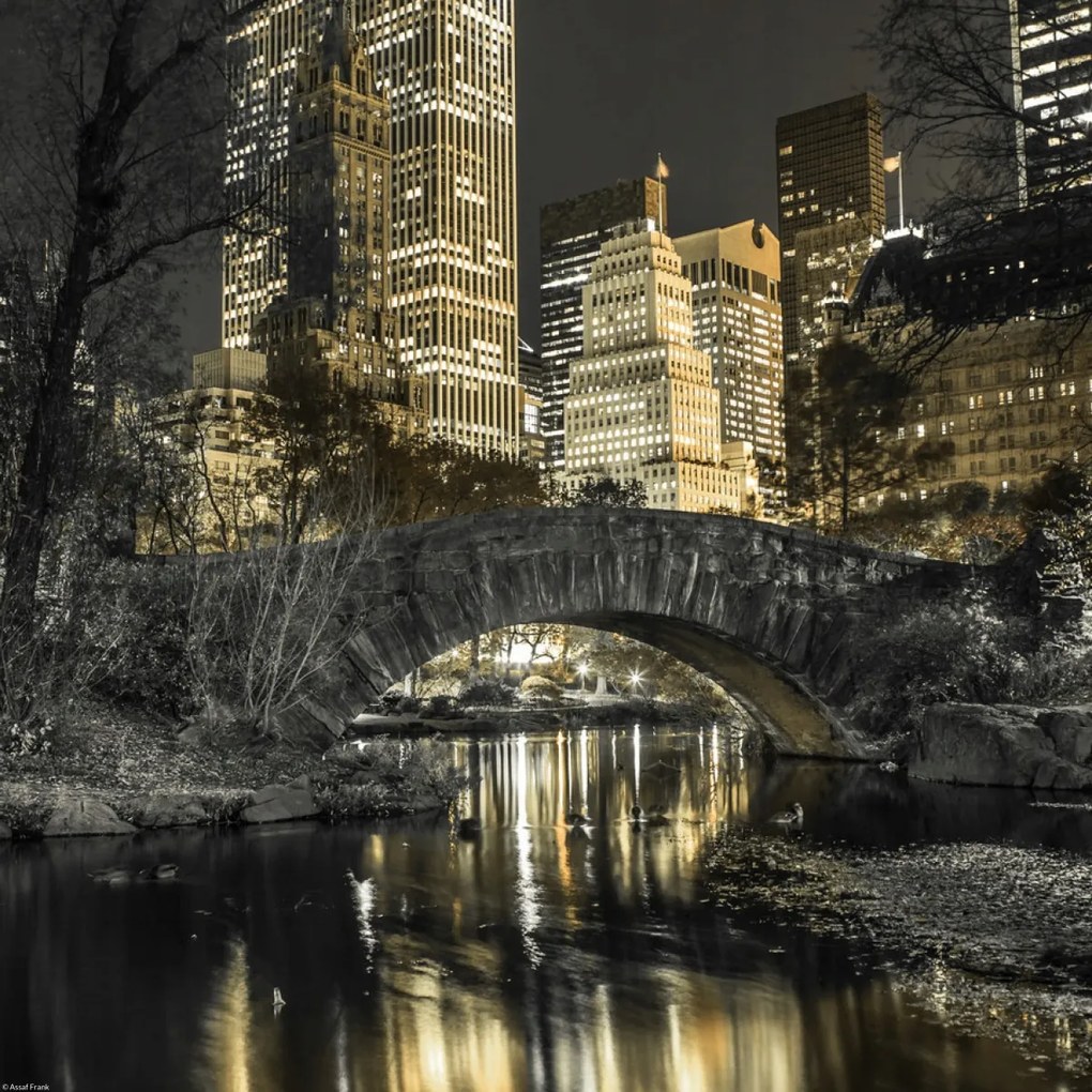 Poszter 40x40cm Esti kilátás a New York-i Central Parkra 2, Assaf Frank