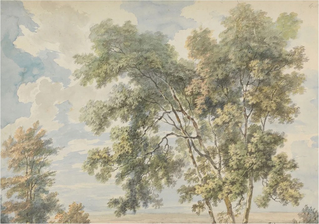 Dekoratív Fotótapéta Fali Falra Romantikus természet 312x219 Ragasztó