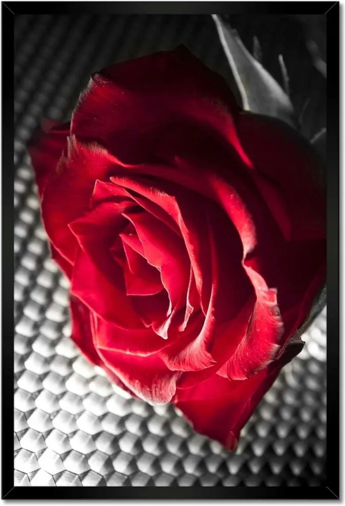 Poszterek keretben 40x60 Rózsa nőknek