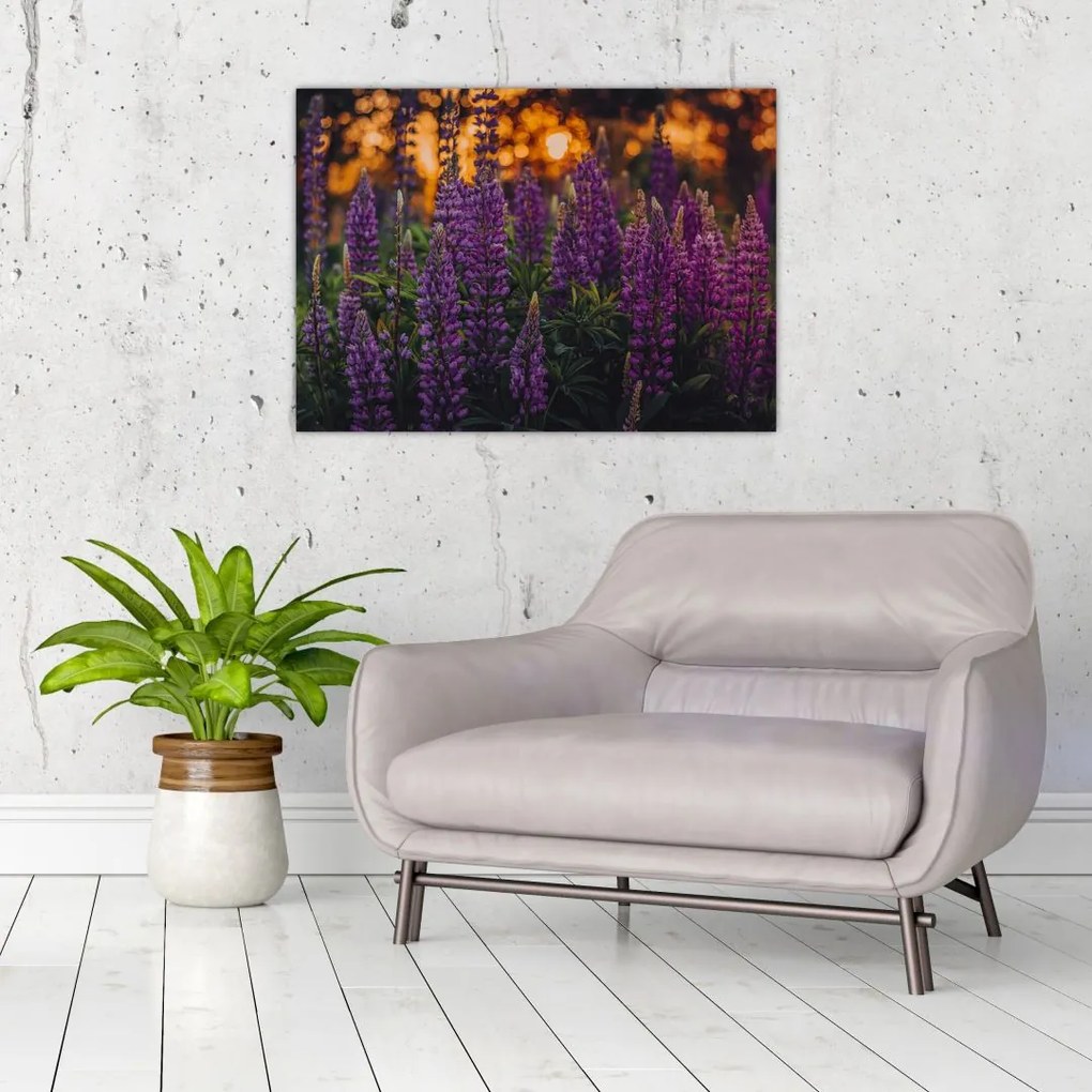 Egy csillagfürt virág képe (üvegen) (70x50 cm)