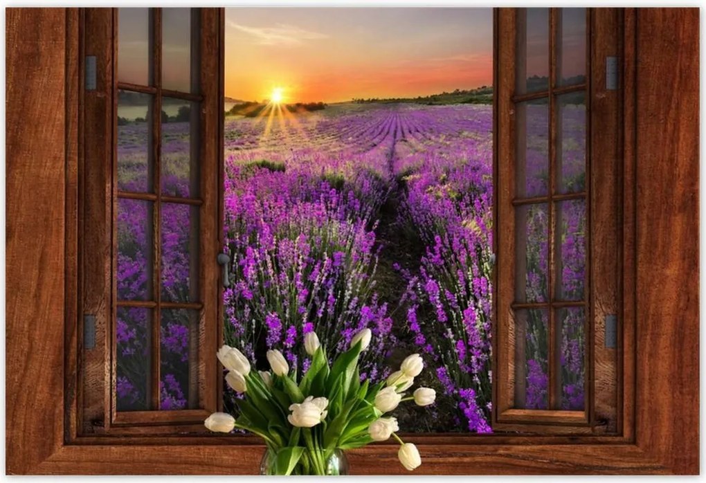 Poszterek 200x135 Kilátás az ablakból a levendulára