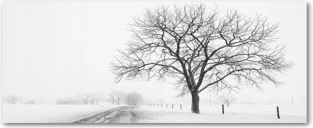 Modern üvegpanel a konyhába Fa télen XXL