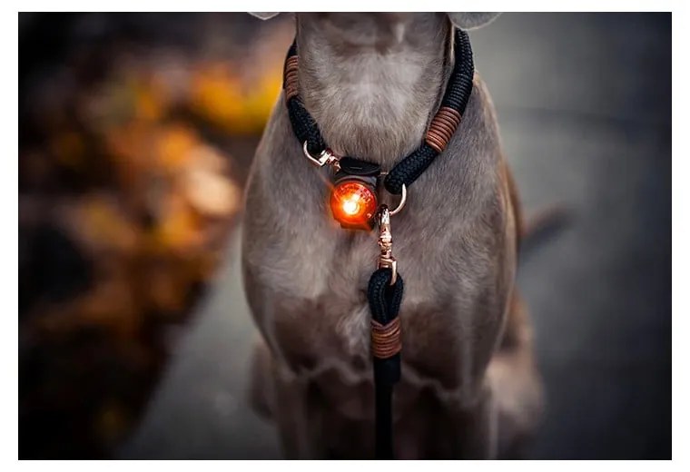 LED fény nyakörvre Amber - Orbiloc