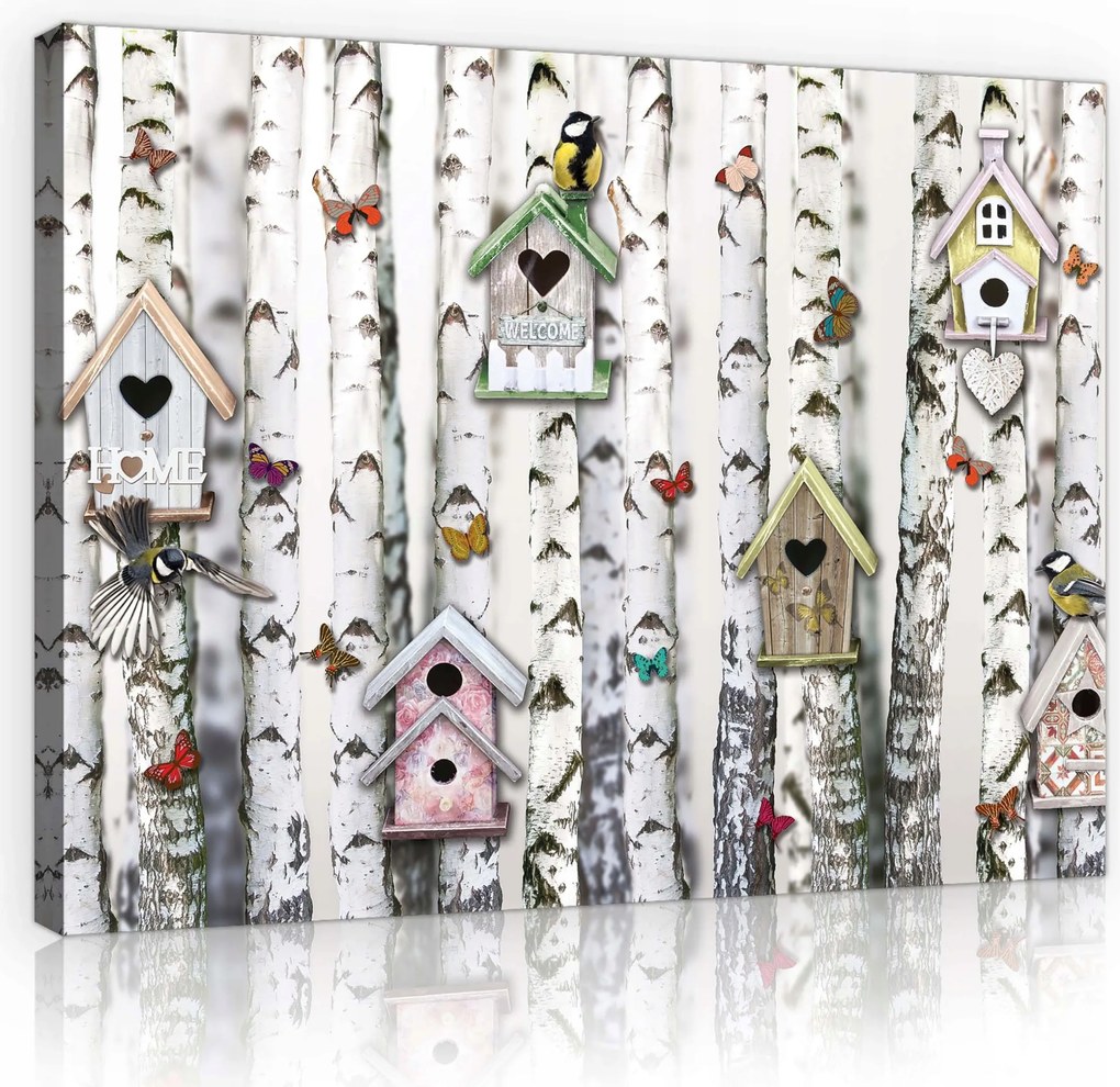 Vászonkép 100x75 Nyírfa etetők pillangók madarak természet otthon meghittség tavasz