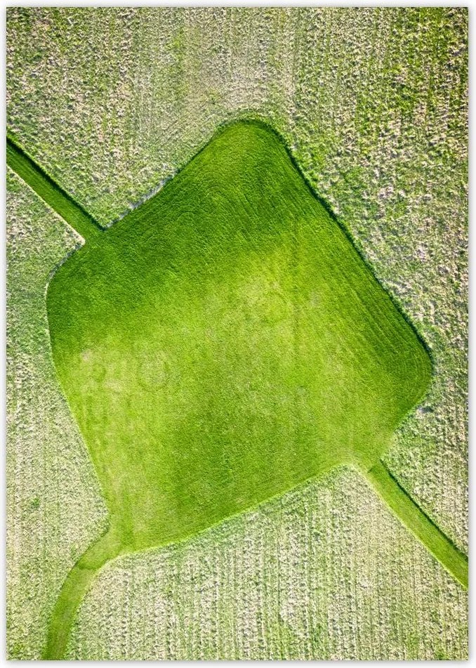 Poszterek A5 Pion Fű mező rét út