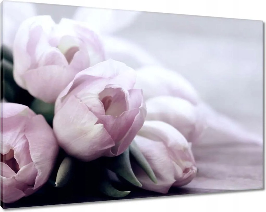 Vászonkép 100x70 Tulipánok Virágok