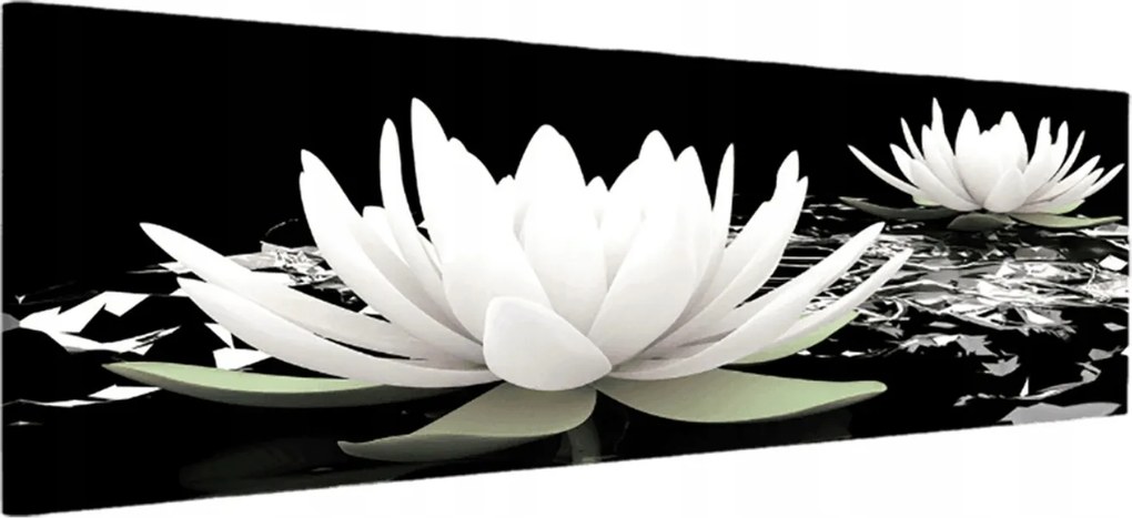 Vászonkép 145x45 Fehér lótusz tavirózsa nyugalom harmónia meditáció zen tisztaság