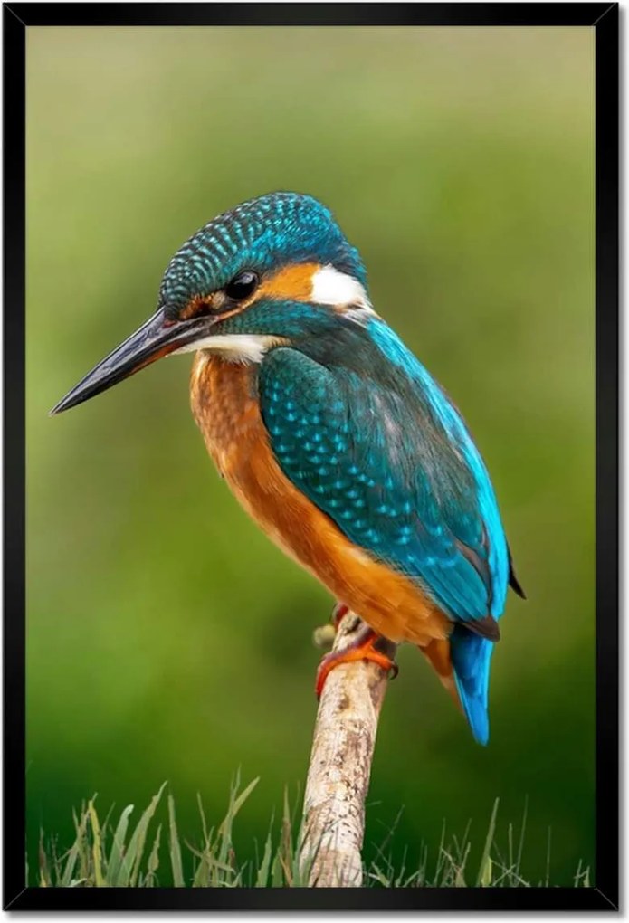 Poszterek keretben 40x60 Mit is lehetne itt ropogtatni