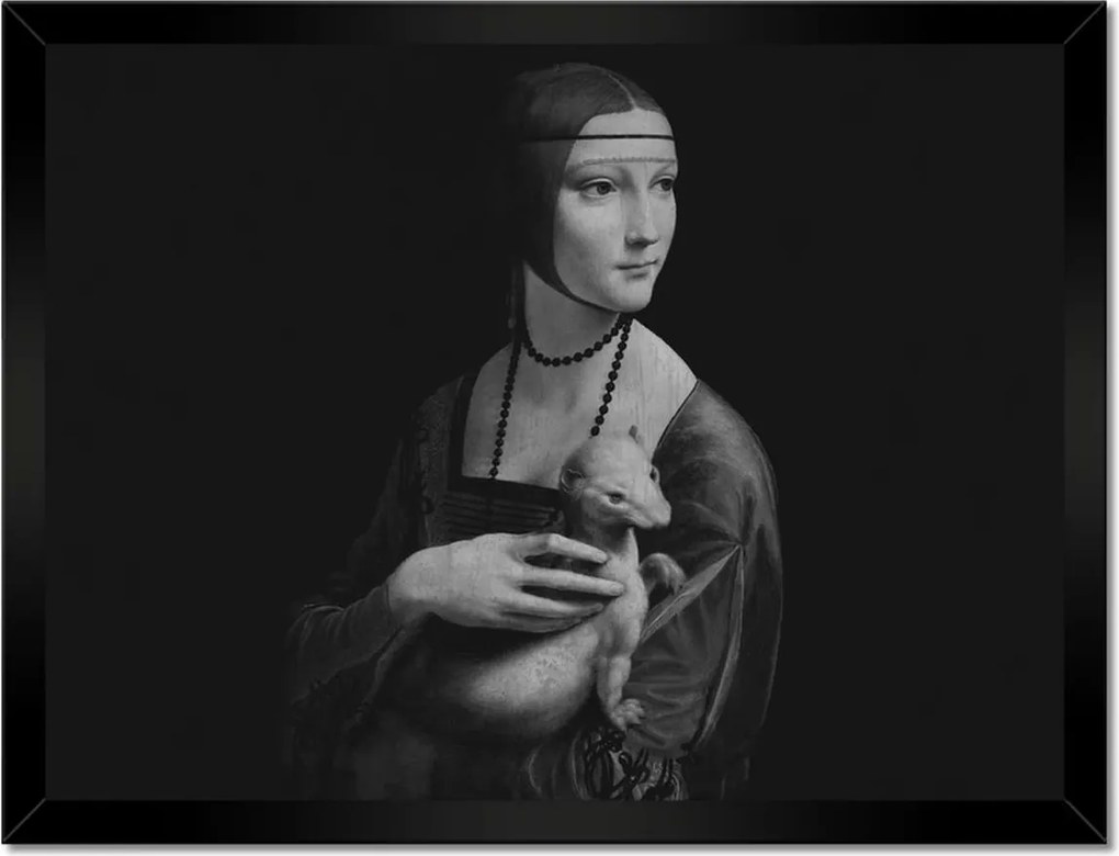 Poszterek keretben 40x30 Hölgy hermelinnel Menyét