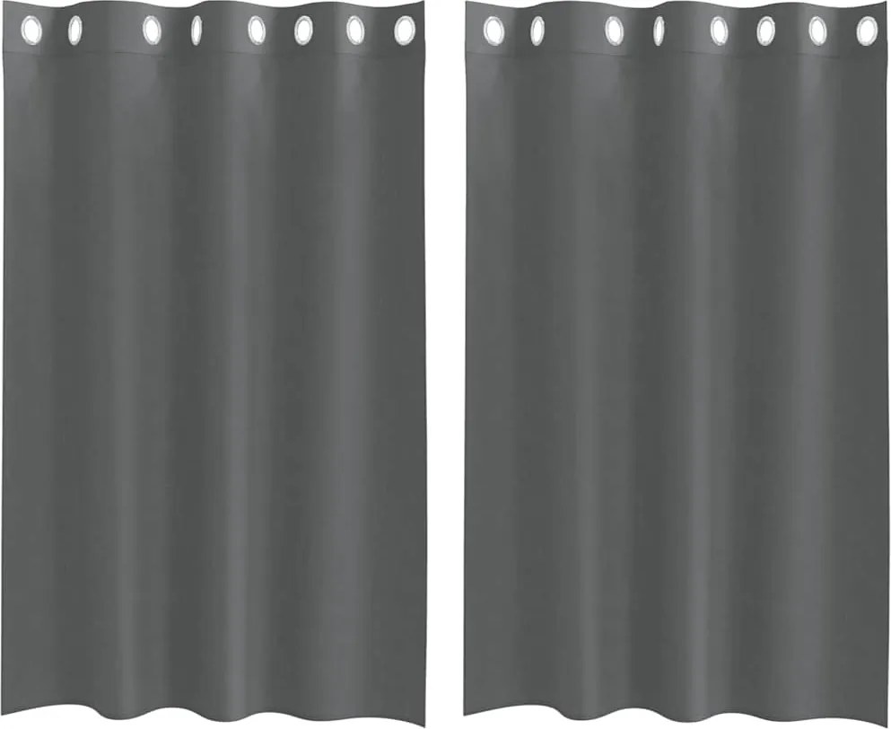 vidaXL 2 db sötétszürke fátyolfüggönyök rojtokkal 140x175 cm