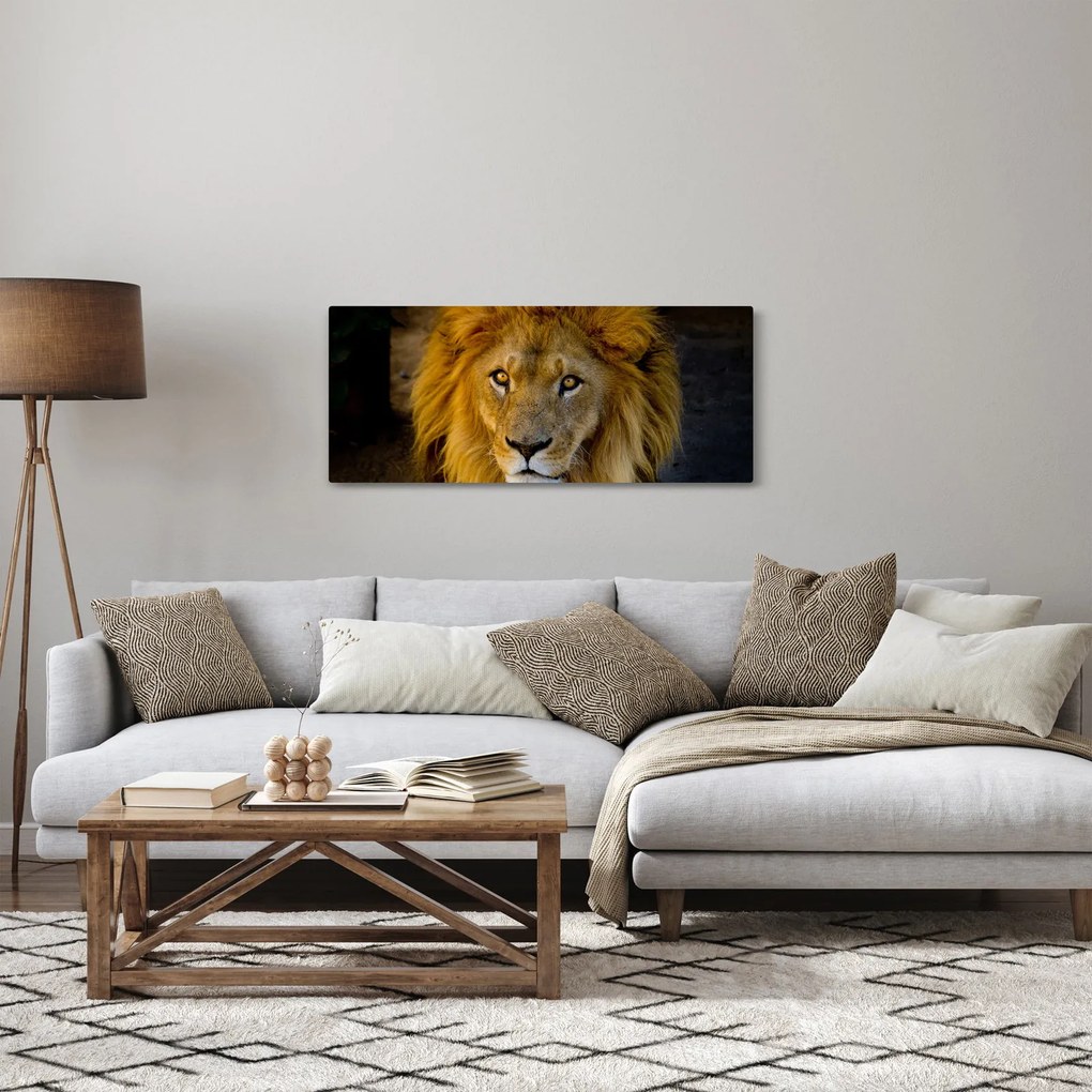 Kép - Egy oroszlán portréja (120x50 cm)