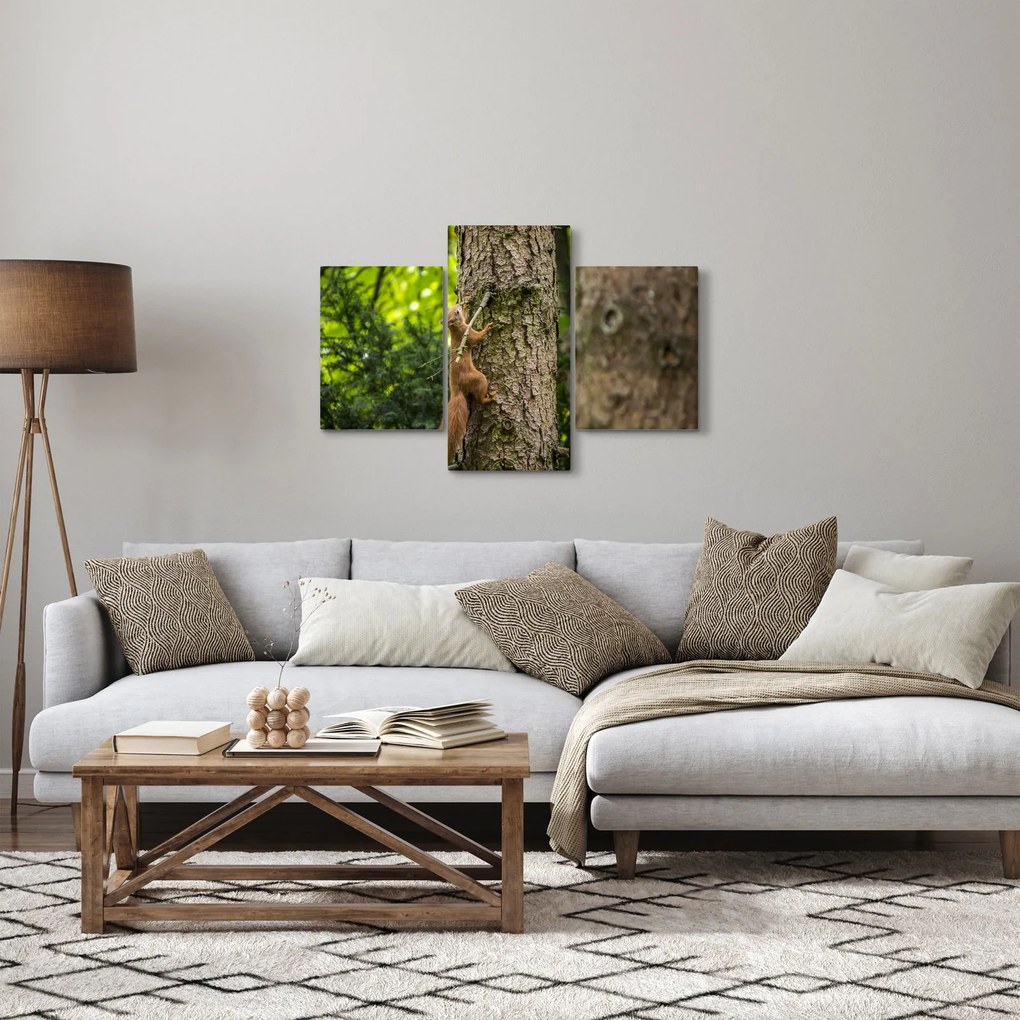 Kép - Mókus (90x60 cm)