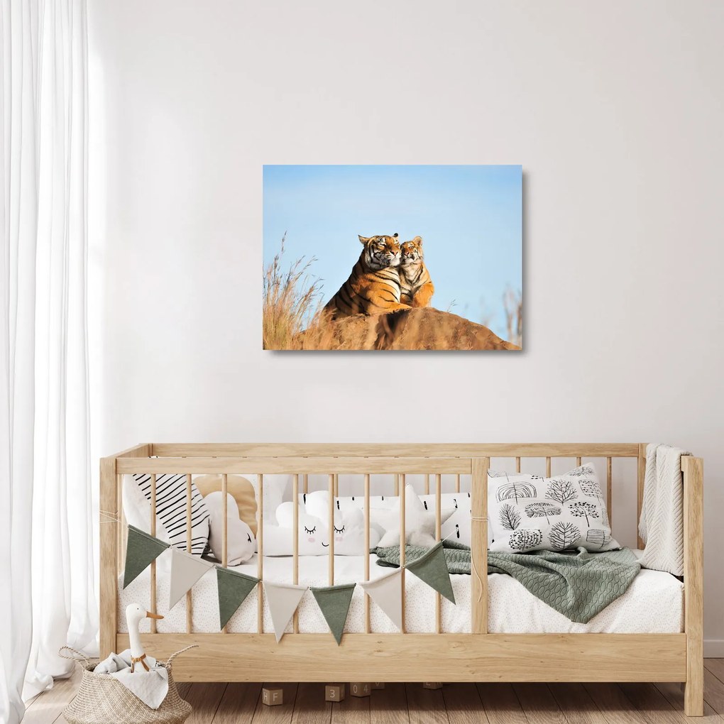 Kép - Tigris és a kölyke (üvegen) (70x50 cm)