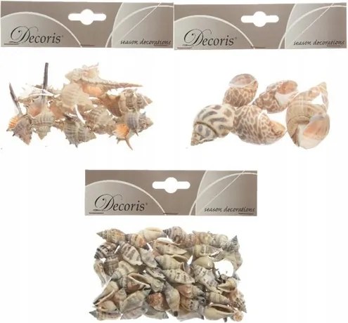 Dekoratív természetes óceáni dekoratív kagylók