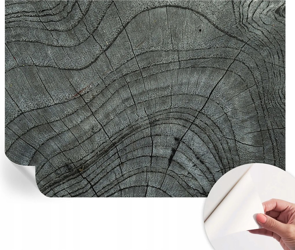 Dekoratív öntapadós fotótapéta Hálószobába Befőttesüveg mintás 208x146 cm