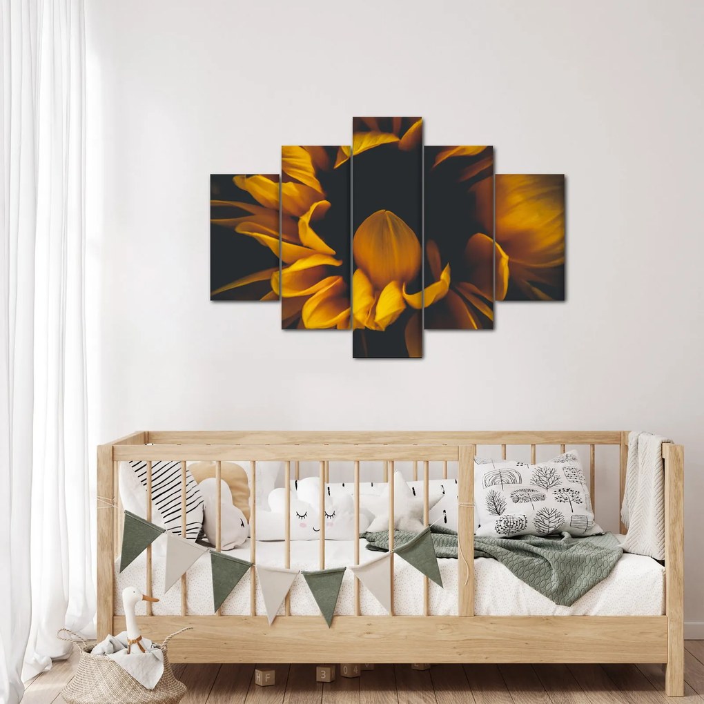 Kép - Napraforgó fekete háttérben (150x105 cm)