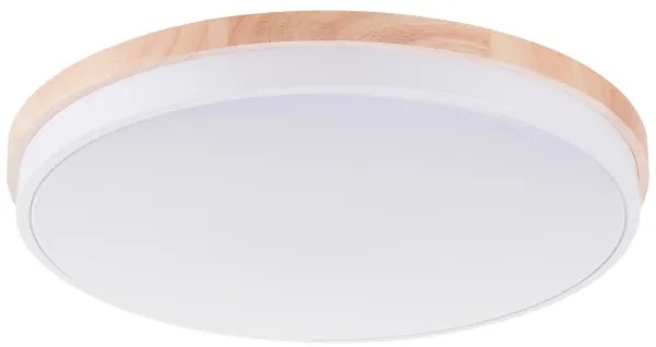 Brilliant - LED Dimmelhető mennyezeti lámpa BAARLO LED/36W/230V átm. 50 cm fehér + távirányító