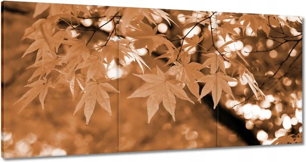 Vászonkép 180x90 Szépia Őszi levelek