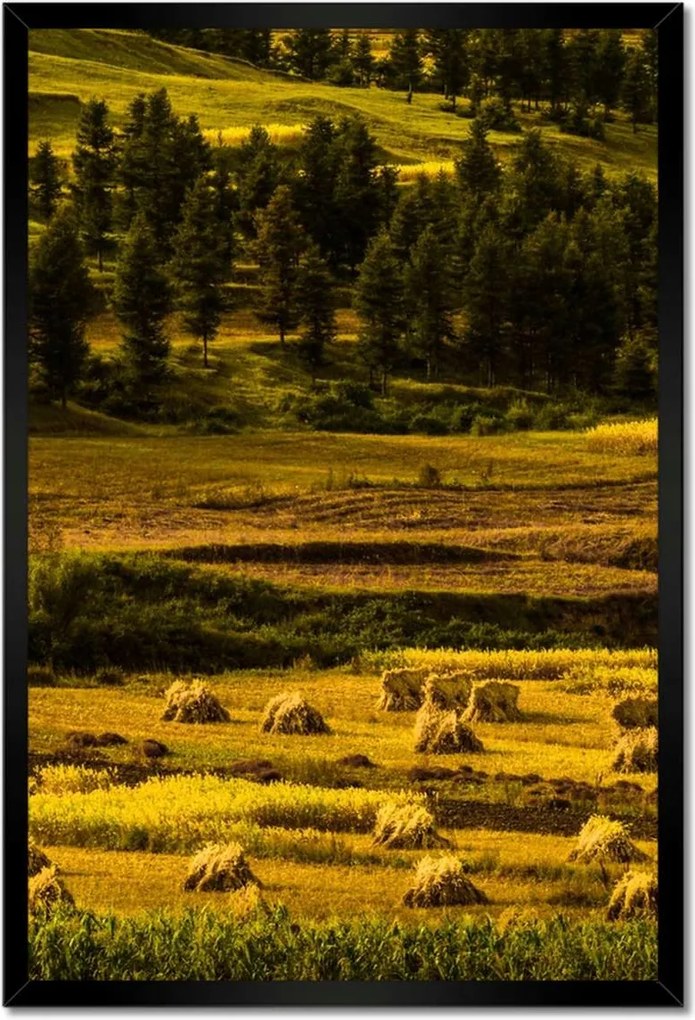 Poszterek keretben 40x60 Tájkép Látvány