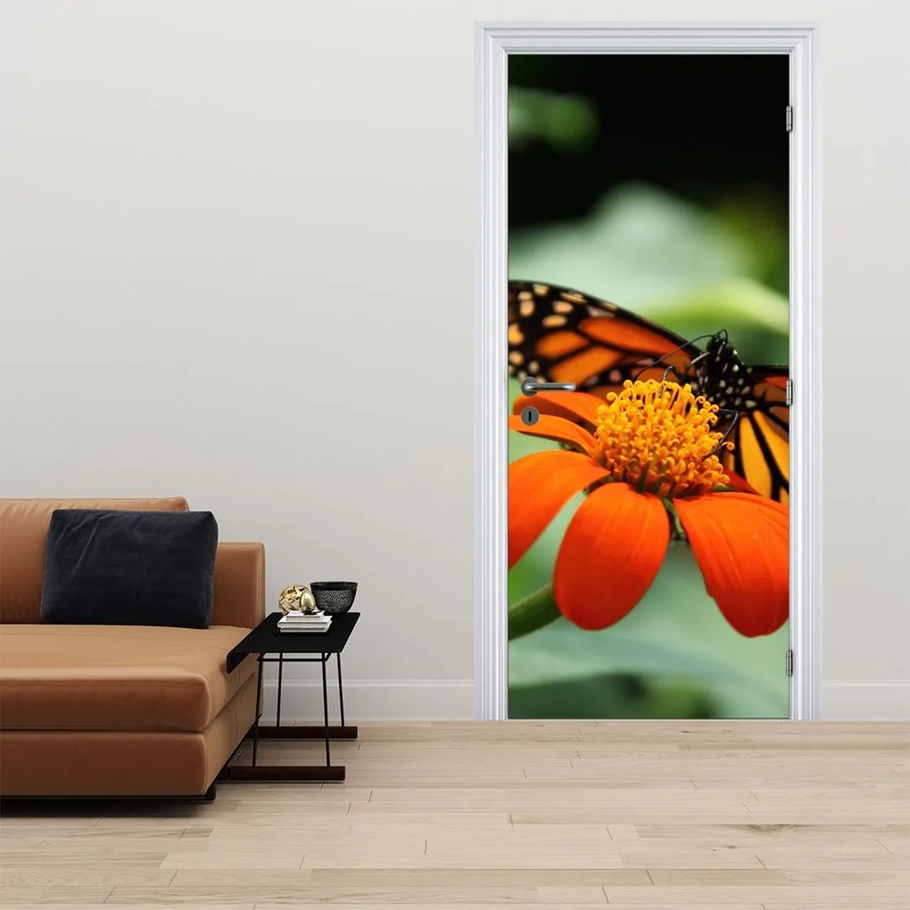 Fotótapéta ajtóra - Pillangó egy virágon (95x205cm)